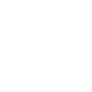 Skype Logo